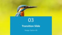 Corporate Business PowerPoint Template - Transition Slide - Option 3
