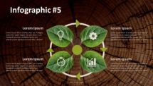 Wooden Logs PowerPoint Template - Infographic Cycle