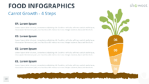Carrot-shaped infographic for PowerPoint and Google Slides, divided into four sections to visualize growth stages, structured data, or business processes.