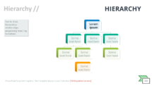 Hierarchy - SmartArt Graphic for PowerPoint
