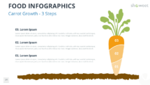 Carrot-themed infographic for PowerPoint and Google Slides, illustrating growth stages, development processes, or structured business workflows.