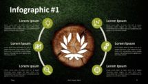 Wooden Logs PowerPoint Template - Infographic Radial Diagram