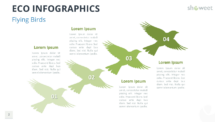 4-step Flying Birds diagram from the Eco Infographics template for PowerPoint and Google Slides, ideal for showing progress or motion.