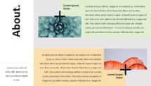 Plus Template for PowerPoint - Horizontal Text with 2 Pictures