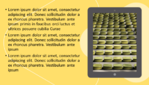 Luna - PowerPoint Template (Yellow) - Slide 25