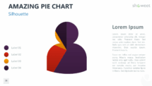 Amazing Pie Chart for PowerPoint - Silhouette