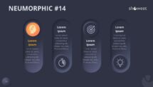 Slide 14 of Neumorphic diagram with dark background, enhancing visual impact