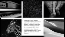 BLAK PowerPoint Template - Picture Placeholders 6
