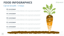 Five-step carrot growth infographic for PowerPoint and Google Slides, ideal for illustrating development phases, food production, or business planning.