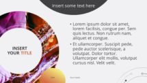 Vinyl - Creative PowerPoint Template - Orange - Slide 6